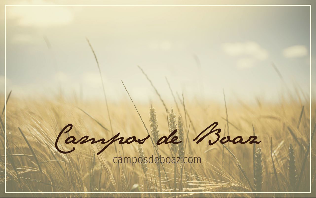 São tão vastos os Teus campos, ó amado Boaz celestial! São tão vastos os Teus campos, ó amado Boaz celestial!