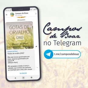 Campos de Boaz no Telegram