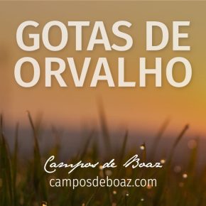 Gotas de orvalho (410)
